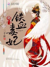 将门铁血毒妃 电视剧