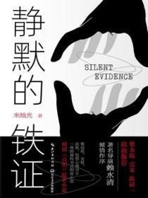 静默的铁证在线阅读结局