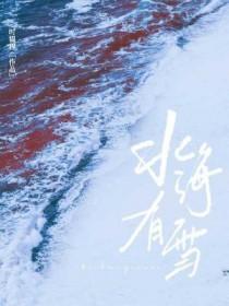 北海有雪
